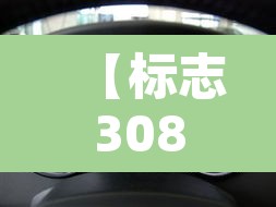 【标志308cc·标志308CC变速箱】 【标志308cc·标志308CC变速箱】