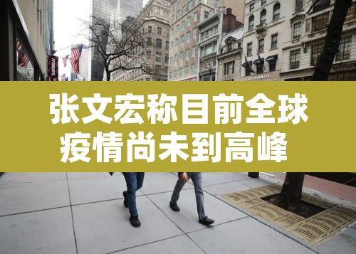 张文宏称目前全球疫情尚未到高峰 → 张文宏谈全球疫情