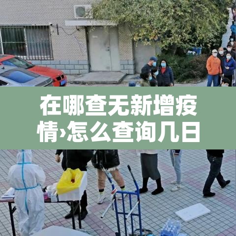 在哪查无新增疫情›怎么查询几日无新增病例