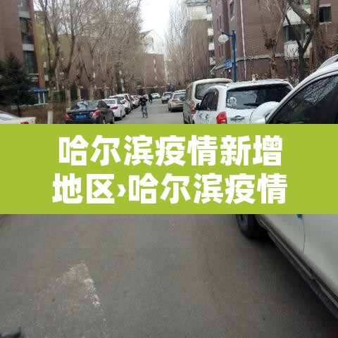 哈尔滨疫情新增地区›哈尔滨疫情新增地区最新消息
