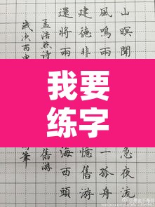 我要练字怎么写限行 → 我要练字怎么写限行申请书