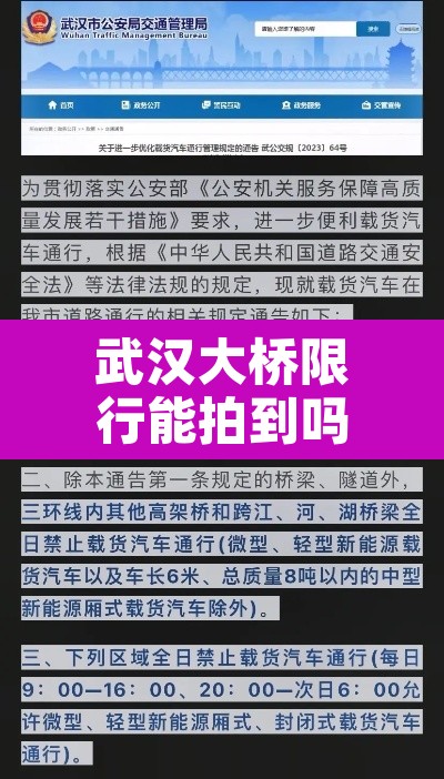 武汉大桥限行能拍到吗 → 武汉大桥限牌