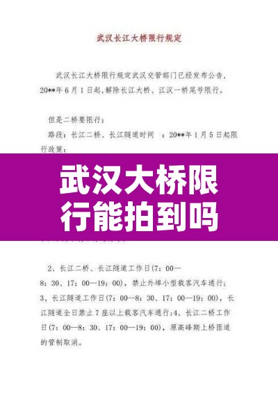 武汉大桥限行能拍到吗 → 武汉大桥限牌