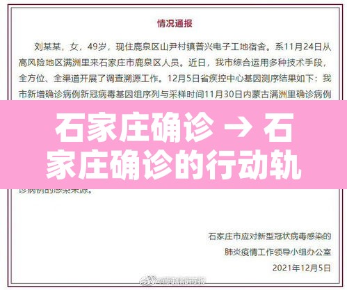 石家庄确诊 → 石家庄确诊的行动轨迹 石家庄确诊 → 石家庄确诊的行动轨迹