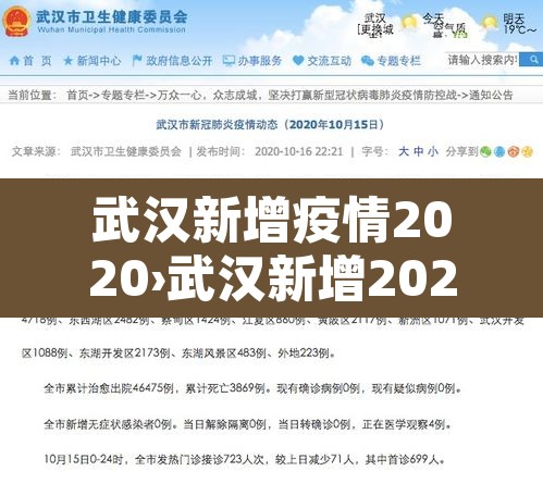 武汉新增疫情2020›武汉新增2021