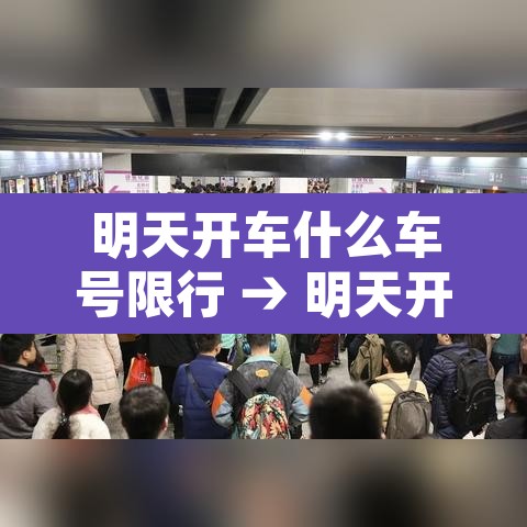 明天开车什么车号限行 → 明天开始车牌限号号码是多少