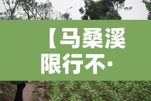 【马桑溪限行不·马桑溪古镇好停车吗】