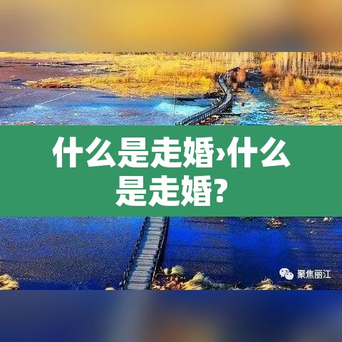 什么是走婚›什么是走婚? 什么是走婚›什么是走婚?