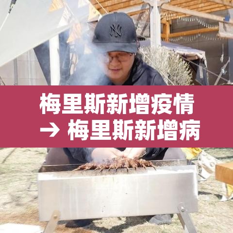 梅里斯新增疫情 → 梅里斯新增病例
