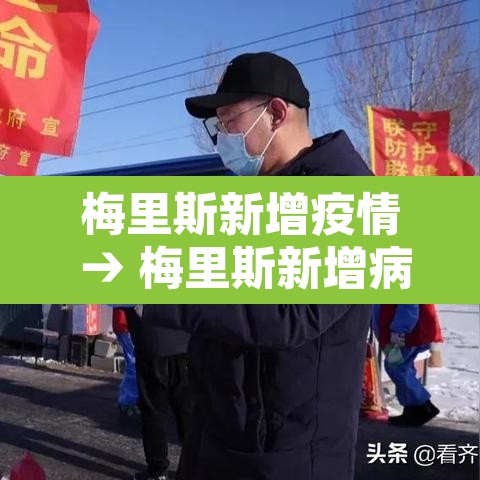 梅里斯新增疫情 → 梅里斯新增病例