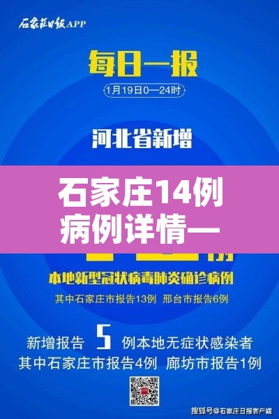 石家庄14例病例详情—（石家庄14例病例详情公布）