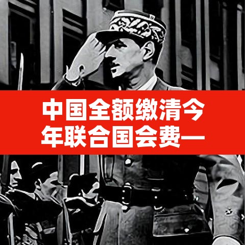 中国全额缴清今年联合国会费—（中国缴纳联合国会费,承担额位列世界第）