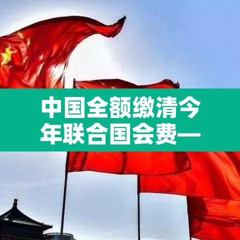 中国全额缴清今年联合国会费—（中国缴纳联合国会费,承担额位列世界第）