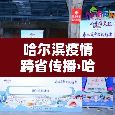 哈尔滨疫情跨省传播›哈尔滨疫情传播链条
