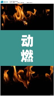 动燃火焰 → 动燃火焰采哪的矿