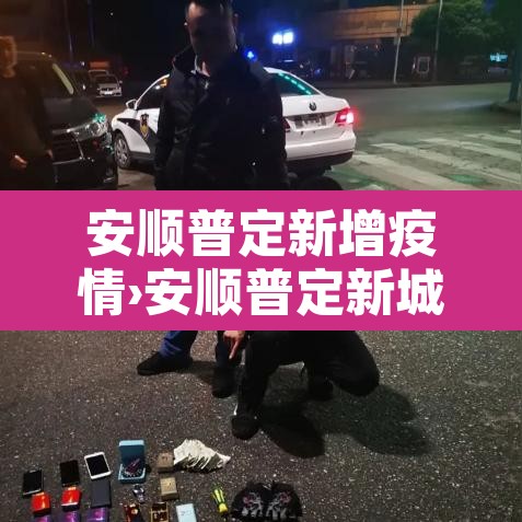 安顺普定新增疫情›安顺普定新城最新消息