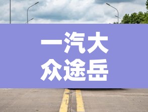 一汽大众途岳—（一汽大众途岳300）
