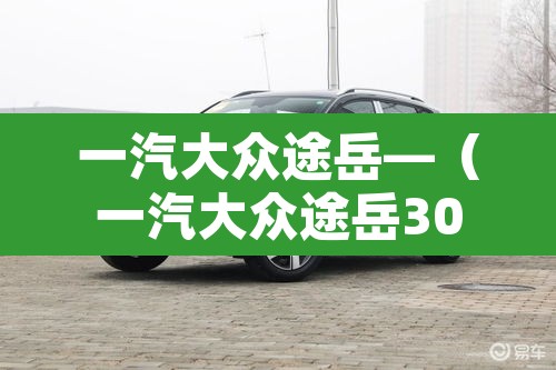 一汽大众途岳—（一汽大众途岳300）
