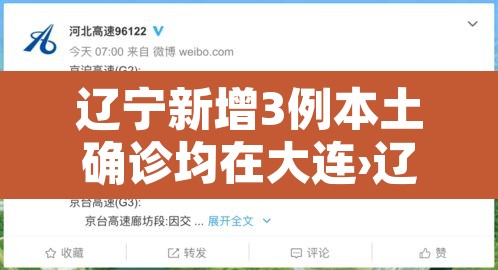 辽宁新增3例本土确诊均在大连›辽宁新增大连病例 辽宁新增3例本土确诊均在大连›辽宁新增大连病例