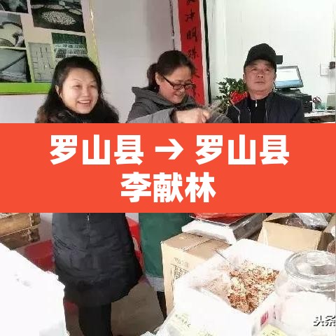 罗山县 → 罗山县李献林