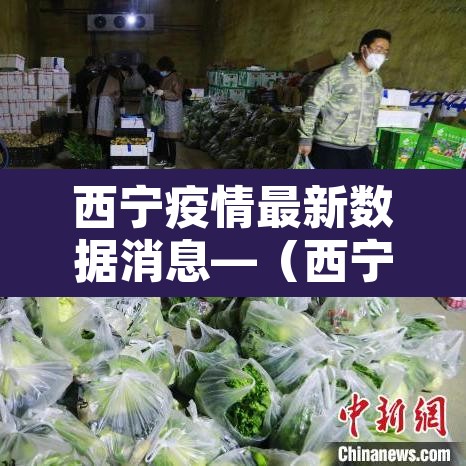 西宁疫情最新数据消息—（西宁疫情最新进展）