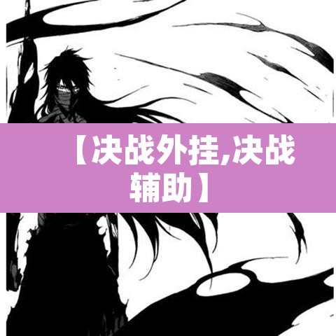 【决战外挂,决战辅助】