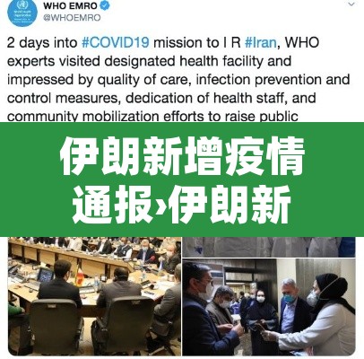 伊朗新增疫情通报›伊朗新增确诊病例
