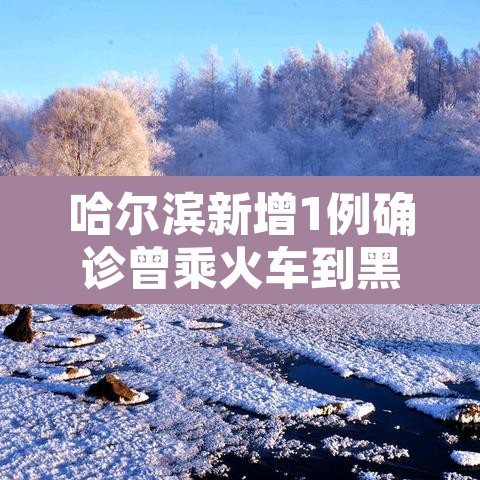 哈尔滨新增1例确诊曾乘火车到黑河—（哈尔滨到黑河火车疫情）