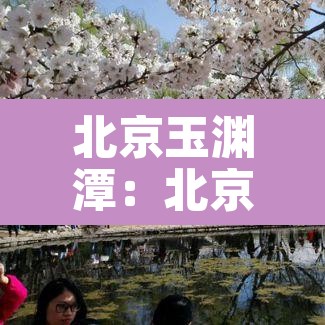 北京玉渊潭:北京玉渊潭公园图片 北京玉渊潭:北京玉渊潭公园图片