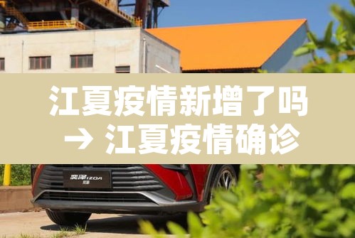 江夏疫情新增了吗 → 江夏疫情确诊