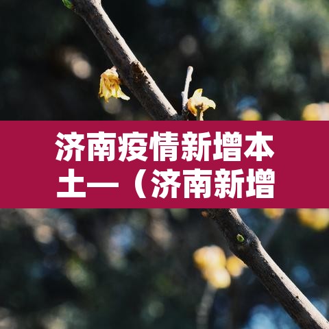 济南疫情新增本土—（济南新增1例详情）