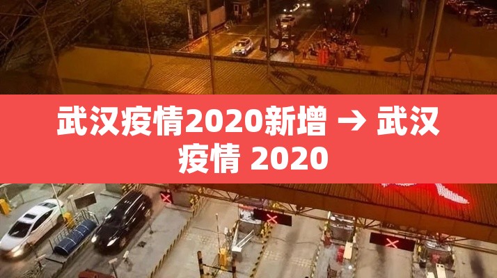 武汉疫情2020新增 → 武汉 疫情 2020 武汉疫情2020新增 → 武汉 疫情 2020