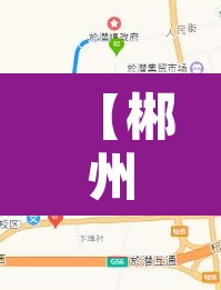 【郴州市黄牌货车限行,郴州市货车禁行路段】