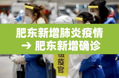 肥东新增肺炎疫情 → 肥东新增确诊病例 肥东新增肺炎疫情 → 肥东新增确诊病例