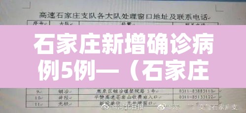 石家庄新增确诊病例5例—(石家庄新增本土确诊病例3例轨迹) 石家庄新增确诊病例5例—(石家庄新增本土确诊病例3例轨迹)