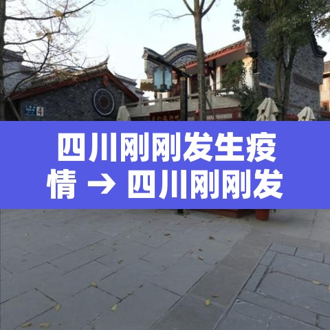 四川刚刚发生疫情 → 四川刚刚发生疫情的地方