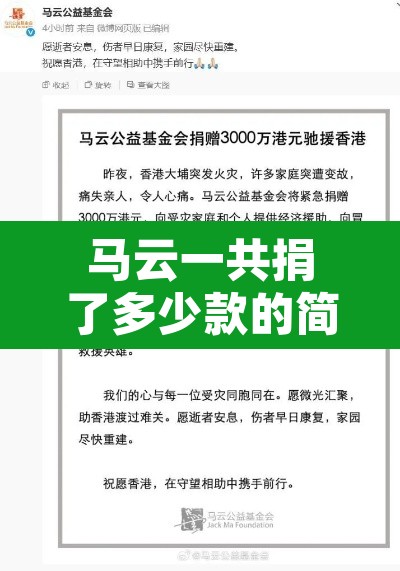 马云一共捐了多少款的简单介绍