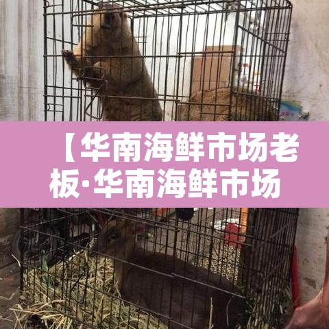 【华南海鲜市场老板·华南海鲜市场 背锅】