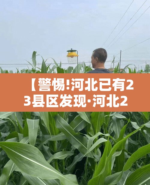 【警惕!河北已有23县区发现·河北20个村】