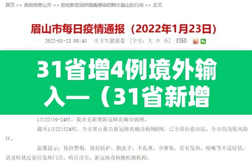 31省增4例境外输入—（31省新增境外输入17）