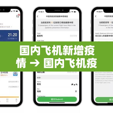 国内飞机新增疫情 → 国内飞机疫情规定 国内飞机新增疫情 → 国内飞机疫情规定