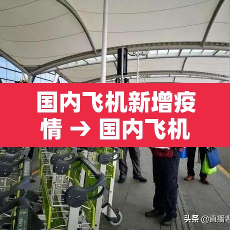 国内飞机新增疫情 → 国内飞机疫情规定