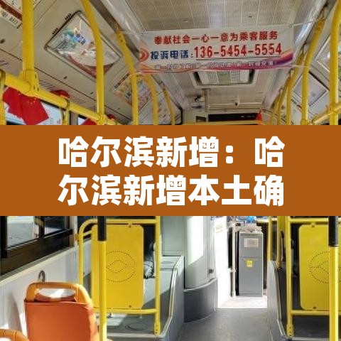 哈尔滨新增:哈尔滨新增本土确诊6例 哈尔滨新增:哈尔滨新增本土确诊6例
