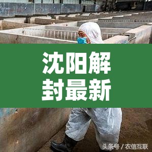 沈阳解封最新消息—（沈阳解封最新消息2021）