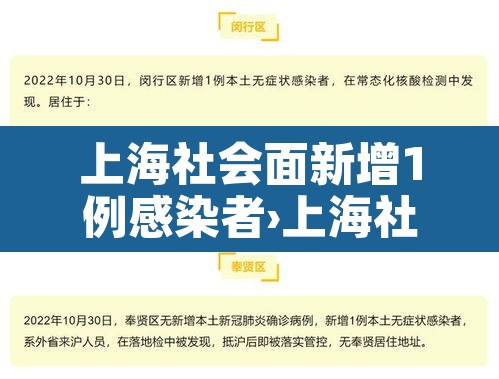 上海社会面新增1例感染者›上海社会组织网站