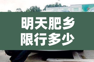 明天肥乡限行多少号车牌:今天肥乡区限车号吗 明天肥乡限行多少号车牌:今天肥乡区限车号吗