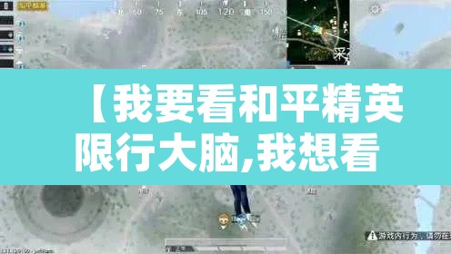 【我要看和平精英限行大脑,我想看和平精英限号解说】 【我要看和平精英限行大脑,我想看和平精英限号解说】