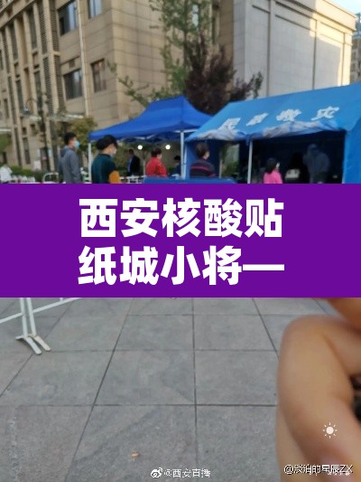 西安核酸贴纸城小将—（西安核酸检测小程序）