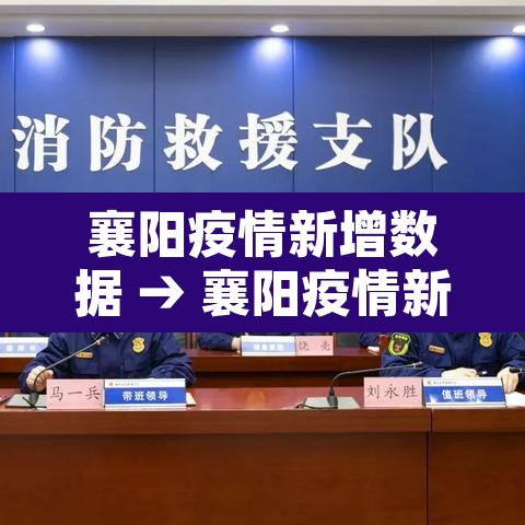 襄阳疫情新增数据 → 襄阳疫情新增数据最新