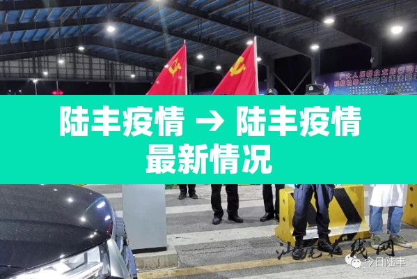 陆丰疫情 → 陆丰疫情最新情况